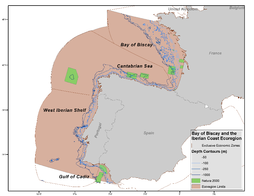 Bay of Biscay and the Iberian Coast ecoregion description